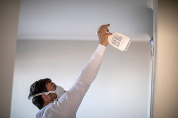 Trusted Hamilton Square, NJ Mold Removal Experts
