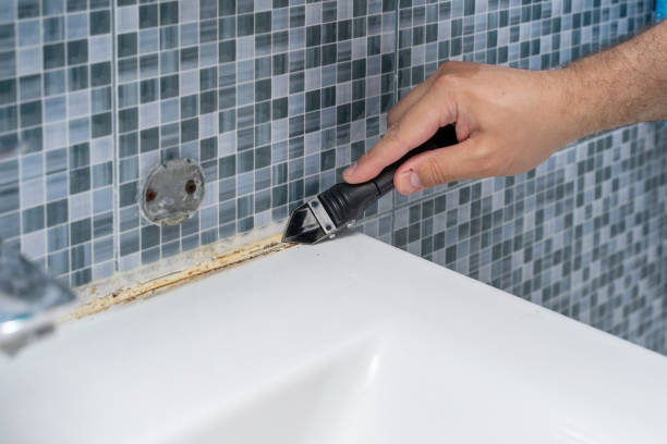 Best Home Mold Removal  in Hamilton Square, NJ